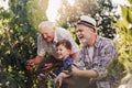 Senior is picking grapes with his son and grandson