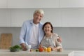 Happy senior retired family couple home portrait Royalty Free Stock Photo