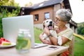 Happy senior woman with laptop and dog working outdoors in garden, home office concept. Royalty Free Stock Photo