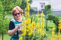 Smiling healthy pensioner harvesting herb