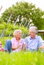 Happy seniors having picnic drinking wine Royalty Free Stock Photo