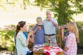 Happy seniors toasting with their family Royalty Free Stock Photo