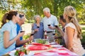 Happy seniors toasting with their family Royalty Free Stock Photo