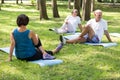 Happy seniors working out in a park Royalty Free Stock Photo
