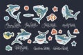 Happy shark flat vector sticker set.