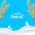 Happy Shavuot. Milk, wheat. Vector illustration. Dripping milk. Vector realistic isolated greeting card Shavuot Jewish holiday and