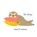 Happy sloth having a nap on pillows.