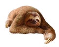 Happy sloth Royalty Free Stock Photo