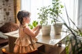 A cute baby girl takes care of houseplants. Girl watering and spraying indoor plants at home Royalty Free Stock Photo