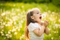 Small girl blowing dandelion Royalty Free Stock Photo