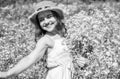 Happy small girl collecting flowers and herbs on sunny day Royalty Free Stock Photo