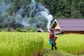 Happy smile hill tribe in paddy rice field colorful costume dress Royalty Free Stock Photo