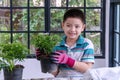 Little cute boy wear glove while holding mini flower tree in small pot at greenhouse. Children boy planting little Royalty Free Stock Photo