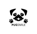 happy smile pug dog face with paw vector graphic design Royalty Free Stock Photo