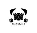 happy smile pug dog face with paw vector graphic design Royalty Free Stock Photo