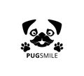 happy smile pug dog face with paw vector graphic design Royalty Free Stock Photo