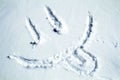 Happy smiley emoticon face in snow, winter season joy and happiness concept Royalty Free Stock Photo