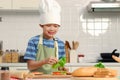 Happy smiling Asian boy wearing apron and chef hat, placing vegetables on the bread for preparing sandwich meal, kid preparing Royalty Free Stock Photo