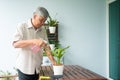 A happy and smiling Asian old elderly man is planting for a hobby after retirement in a home. Concept of a happy lifestyle and Royalty Free Stock Photo