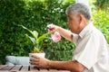 A happy and smiling Asian old elderly man is planting for a hobby after retirement in a home. Concept of a happy lifestyle and Royalty Free Stock Photo