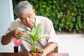 A happy and smiling Asian old elderly man is planting for a hobby after retirement in a home. Concept of a happy lifestyle and Royalty Free Stock Photo