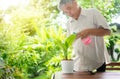 A happy and smiling Asian old elderly man is planting for a hobby after retirement in a home. Concept of a happy lifestyle and Royalty Free Stock Photo