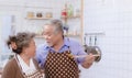 Happy & smiling attractive elderly cute Asian couple in love enjoying cooking healthy salad in kitchen at home together. Happiness Royalty Free Stock Photo