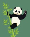 Happy smiling baby giant panda climbing green bamboo tree and waving. Black and white chinese bear cub. Royalty Free Stock Photo