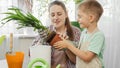 Happy smiling boy helping his mother planting tree in pot at home. Concept of gardening, hobby, home planting. Royalty Free Stock Photo