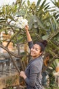 Happy Smiling Asian Girl with Champey Plumeria Flowers Tree