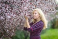 Happy smiling Caucasian blond woman with long hair smiles and happy near blossoming plum cherry tree, enjoys the blossom. Looking Royalty Free Stock Photo