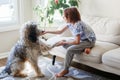 Happy smiling Caucasian girl with cute big puppy dog pet at home. Pet owner playing with domestic animal. Pet owner teaching puppy Royalty Free Stock Photo