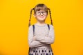 Happy smiling child girl in glasses is going to school for the first time. Child with school bag and with funny pigtails isolated Royalty Free Stock Photo