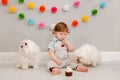 Happy smiling cute Caucasian baby boy celebrating first birthday at home. Child kid toddler sitting on floor with two white pet Royalty Free Stock Photo