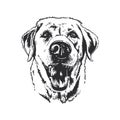 A happy smiling dog headshot vector line drawing