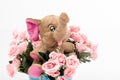 Happy smiling elephant with rose flower bouquet. Iron bucket/container. Image use for birthday, child birth,anniversary, Valentine