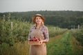 Happy smiling female farmer worker crop picking fresh ripe apples in orchard garden during autumn harvest. Harvesting time Royalty Free Stock Photo