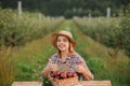 Happy smiling female farmer worker crop picking fresh ripe apples in orchard garden during autumn harvest. Harvesting time Royalty Free Stock Photo
