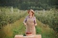 Happy smiling female farmer worker crop picking fresh ripe apples in orchard garden during autumn harvest. Harvesting time Royalty Free Stock Photo