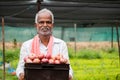 Happy smiling Indian farmer holding onions in tray at greenhouse or polyhouse - cocept of good crop growth and profit in