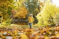 happy smiling little boy in yellow jacket run in autumn central park in Saint-petersburg, Russia on sunny october day Royalty Free Stock Photo