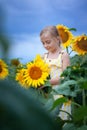 Happy smiling little girl holding big sunflower bouquet. Child playing with sunflowers. Kids picking fresh sun flowers gardening Royalty Free Stock Photo