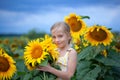 Happy smiling little girl holding big sunflower bouquet. Child playing with sunflowers. Kids picking fresh sun flowers gardening Royalty Free Stock Photo