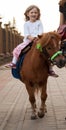 Happy smiling little girl on a pony Royalty Free Stock Photo