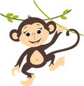 Happy smiling monkey hanging on a branch