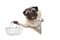 Happy smiling pug puppy dog, holding up wire metal shopping basket, behind white banner Royalty Free Stock Photo