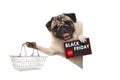 Happy smiling pug puppy dog, with wire metal shopping basket and Black Friday Sale sign, behind white banner Royalty Free Stock Photo