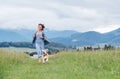 Happy smiling running beagle dog portrait with tongue out and owner female jogging by the mounting meadow grass path. Walking in n Royalty Free Stock Photo