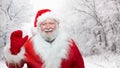 A happy, smiling Santa Claus isolated on a blurred frozen forest. Studio photo. Horizontal view.