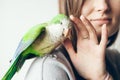 Happy smiling woman is gently touching lovely domesticated parrot. Close-up of friendly and cute Monk Parakeet. Green Quaker is Royalty Free Stock Photo